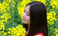 日本一本道高清码v免费视频高